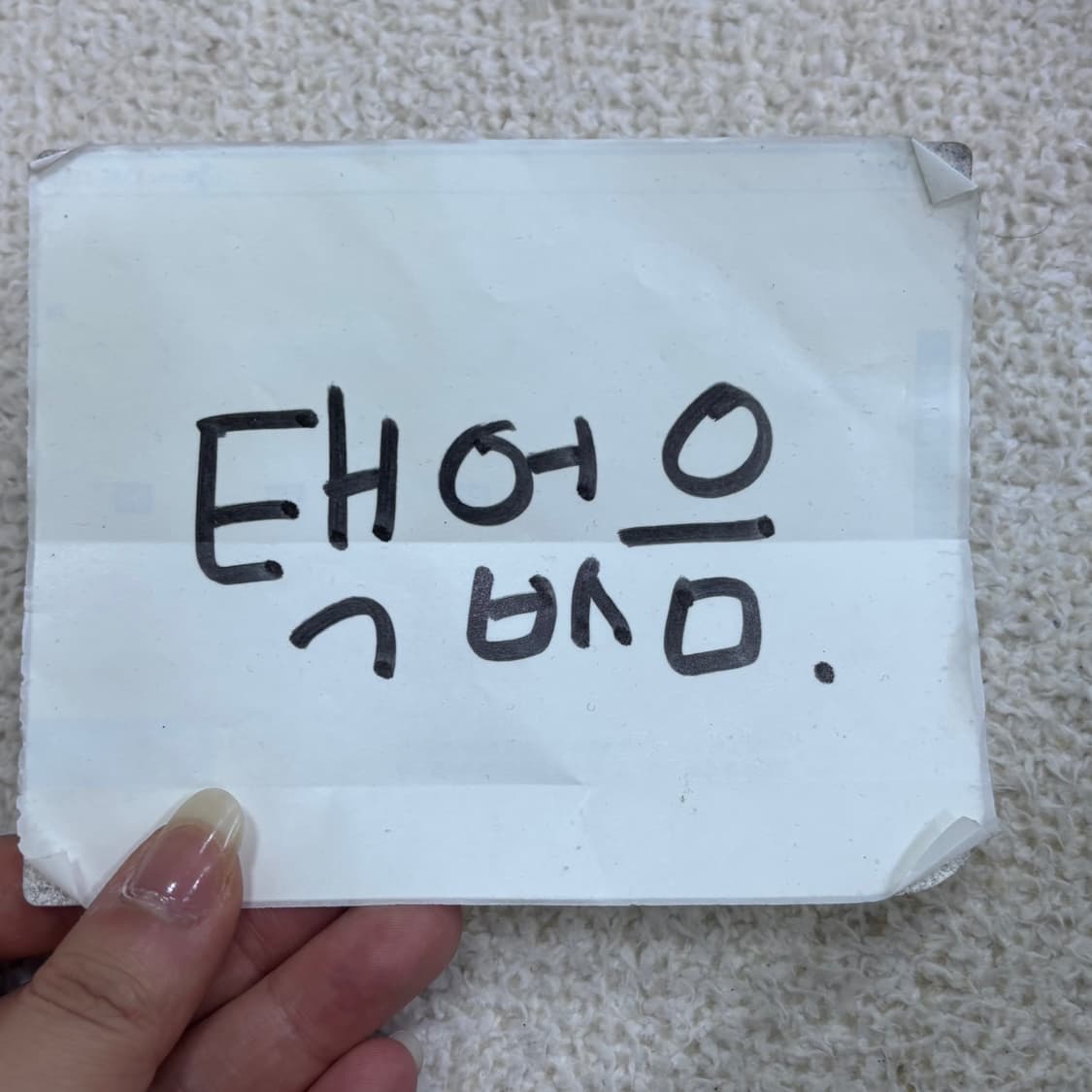 L 챔피온 남성 무지 블랙 맨투맨 티셔츠 0527Y 상품이미지4