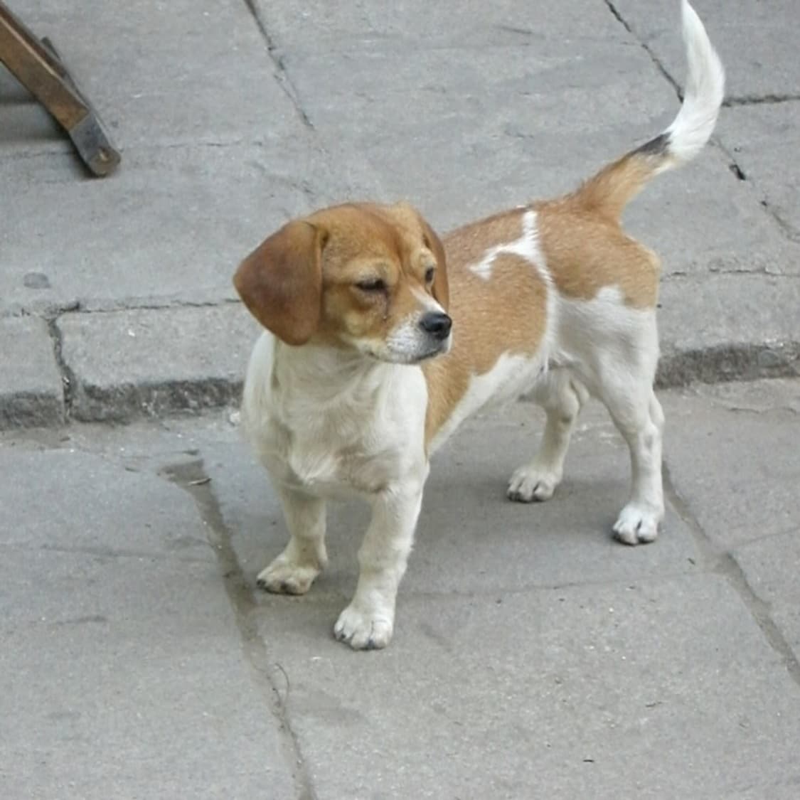 카시오 엑슬림 Casio Exilim EX-Z500 블랙 상품이미지3