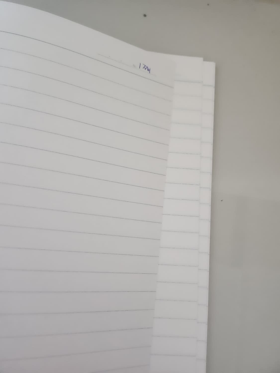 일본 정품 디즈니 캐릭터 노트 모음 (프린세스/스티치/데이지/마리) 상품이미지5