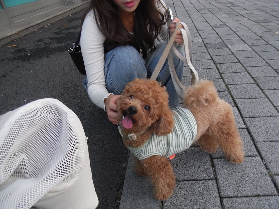 Ricoh Caplio R7 상품이미지2