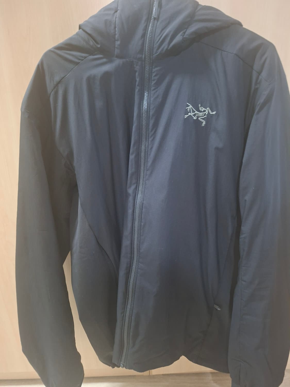 아크테릭스 아톰후디 상품이미지2