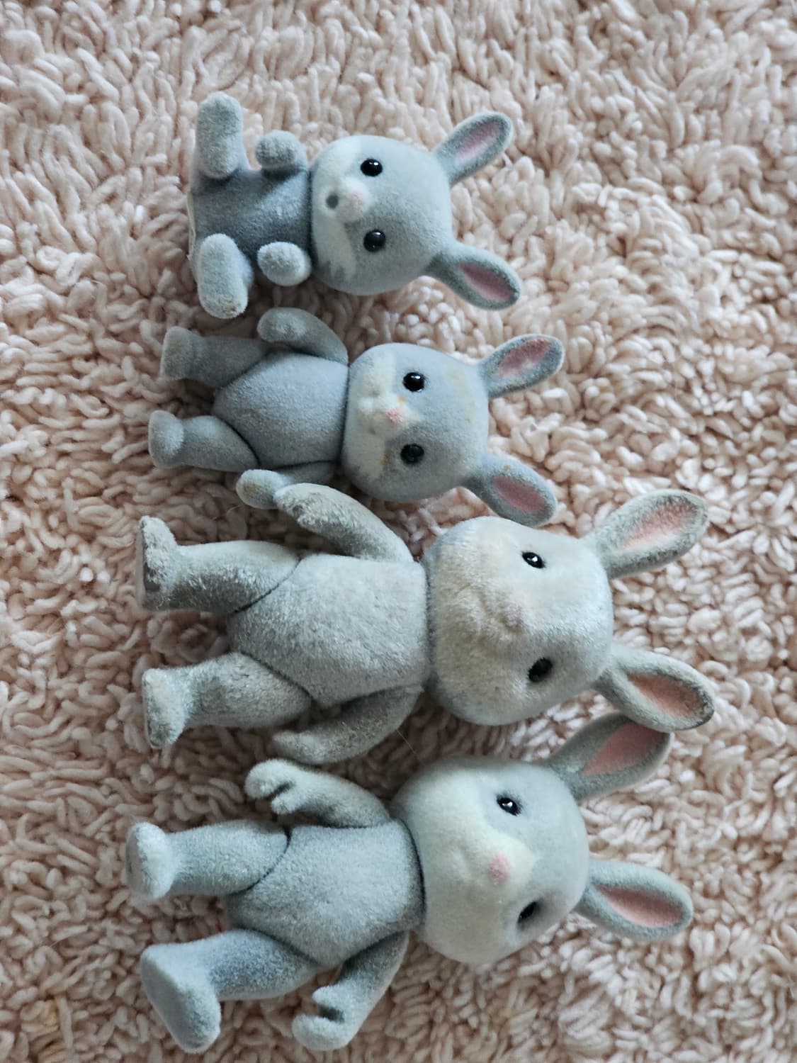 실바니안 패밀리 회색토끼(솜토끼) 판매합니다 상품이미지2