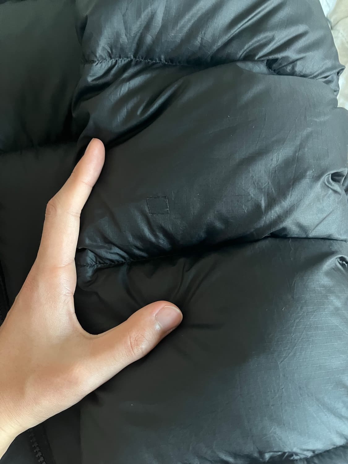 노스페이스 1996 에코 눕시 상품이미지3