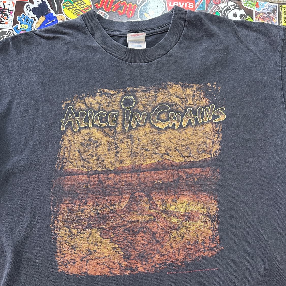 00s 앨리스 인 체인스 Dirt 빈티지 티셔츠 XL 상품이미지3