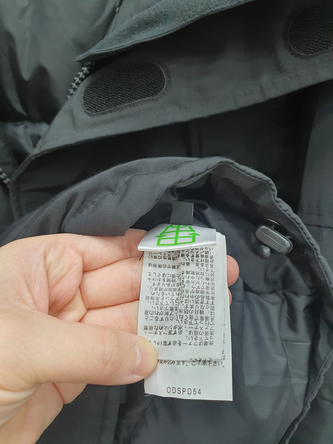 노스페이스 일본 안타르티카 패딩 상품이미지3