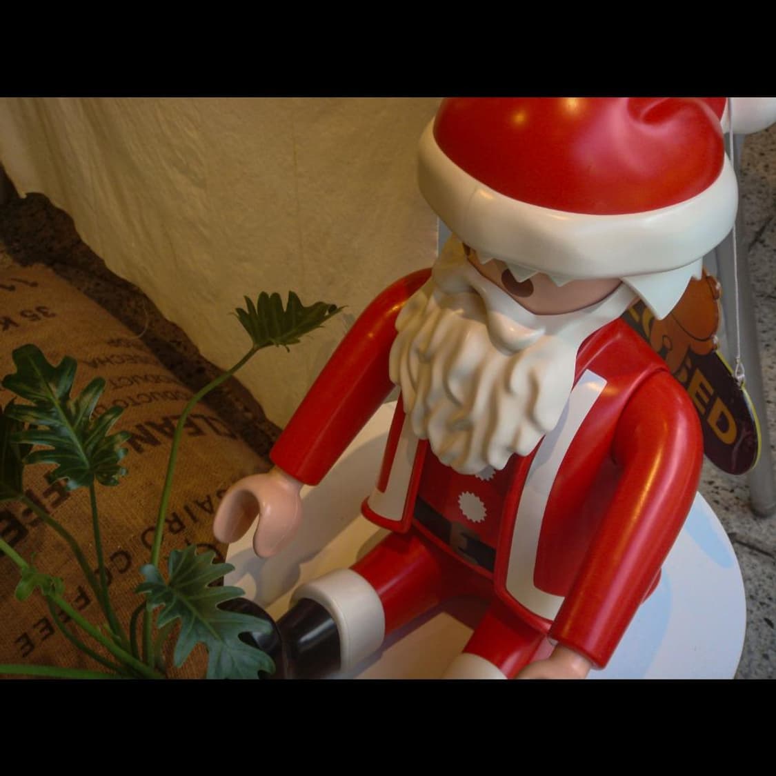 작례⭕️ 소니 사이버 DSC-T5 상품이미지5