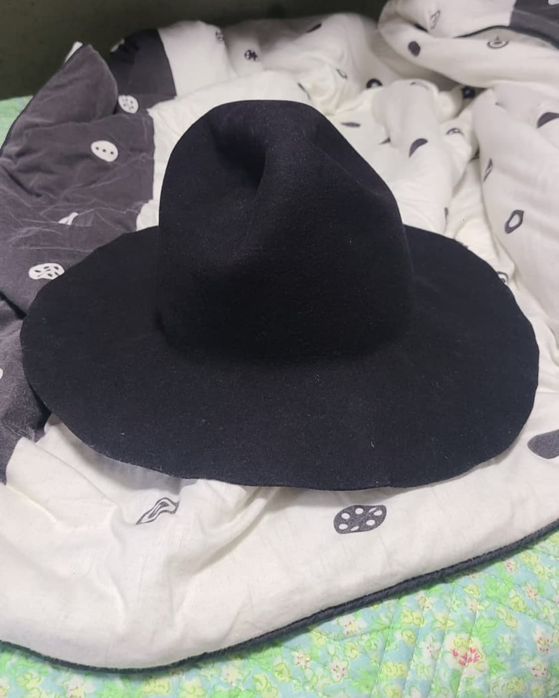 비리디안 x 키지마 타카유키 페도라 2사이즈 상품이미지4