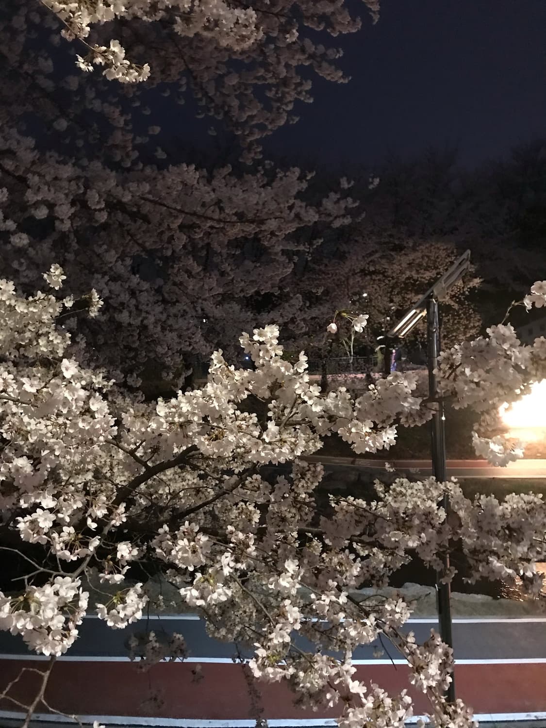 결제창 상품이미지1