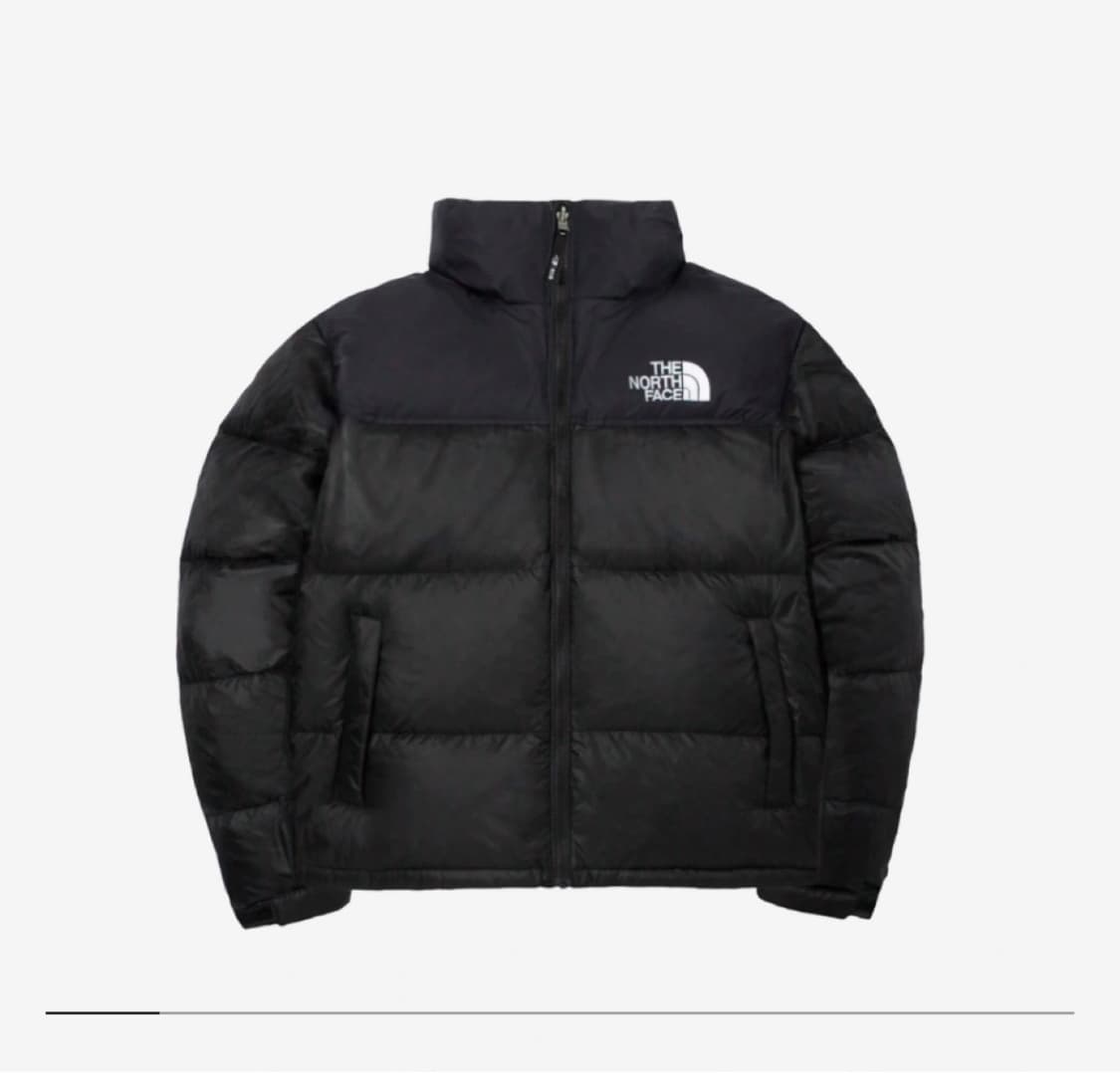 노스페이스 눕시 1996 에코 M 상품이미지1