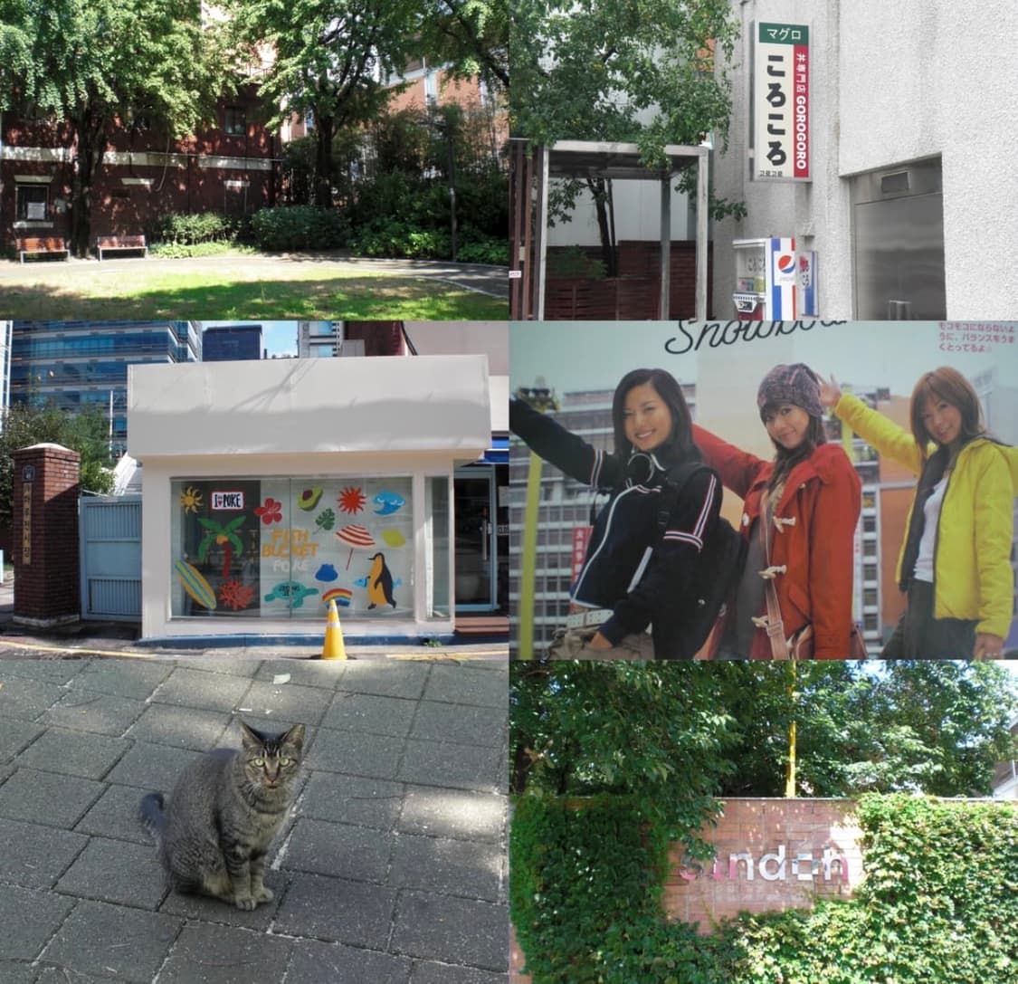 카리나사용✨ Casio Exilim EX-Z80카시오 엑슬림 상품이미지10