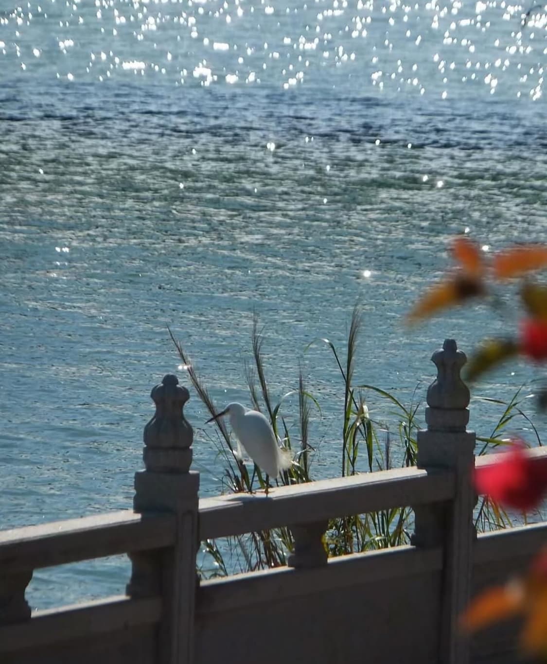 빈티지디카 / 후지필름 파인픽스 jx550 상품이미지1