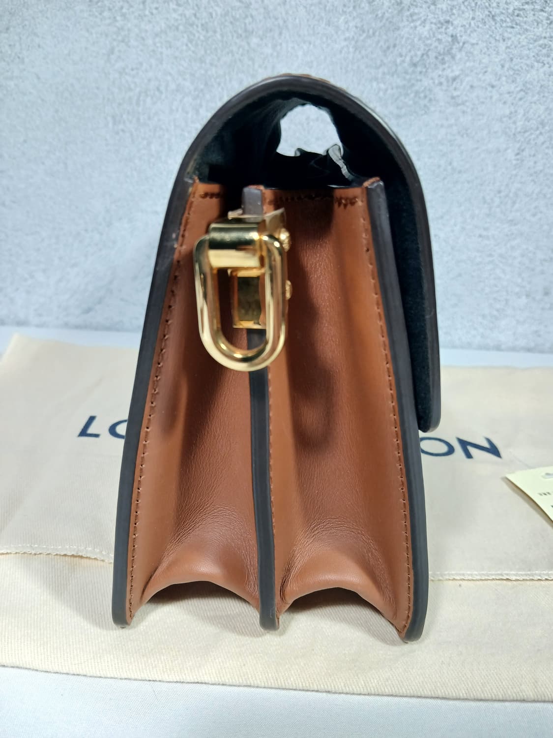 루이비통 도핀 숄더백 미니 M44580 상품이미지6