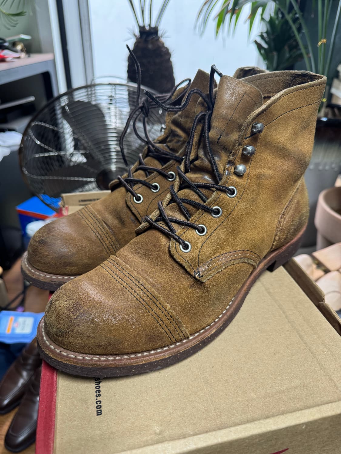 레드윙 아이언레인저 8113 호손뮬스키너 270  상품이미지2