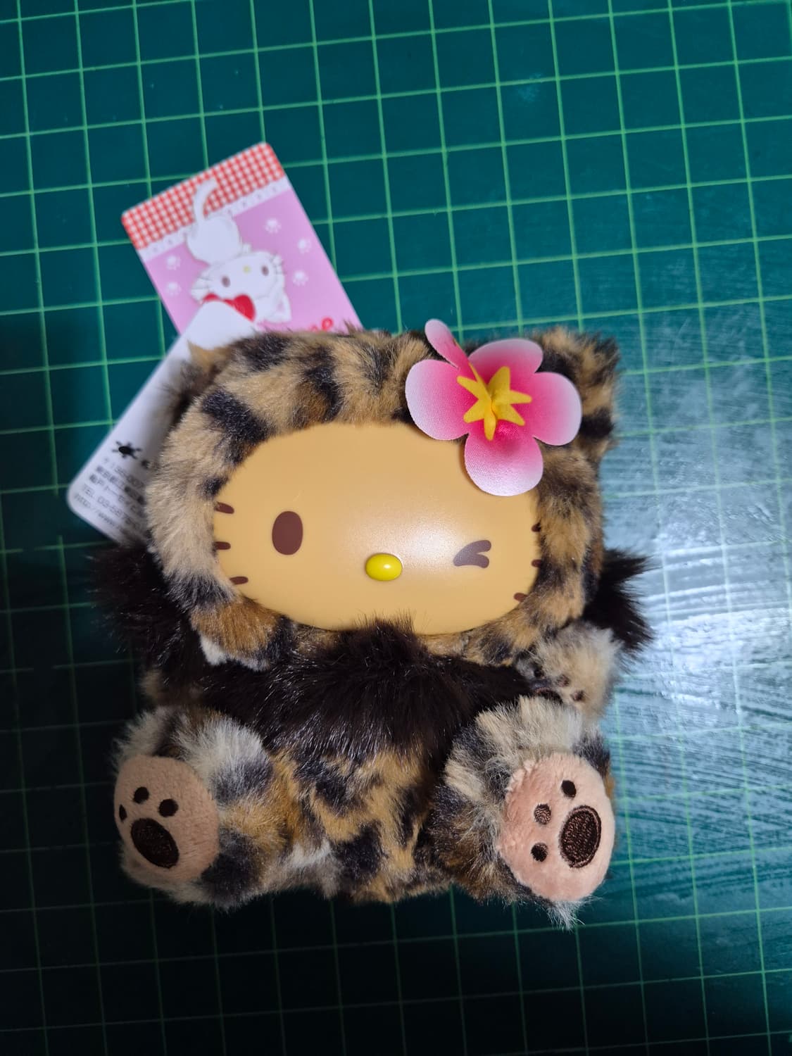 산리오 헬로 키티 파인 페이스 캣 브라운 상품이미지2