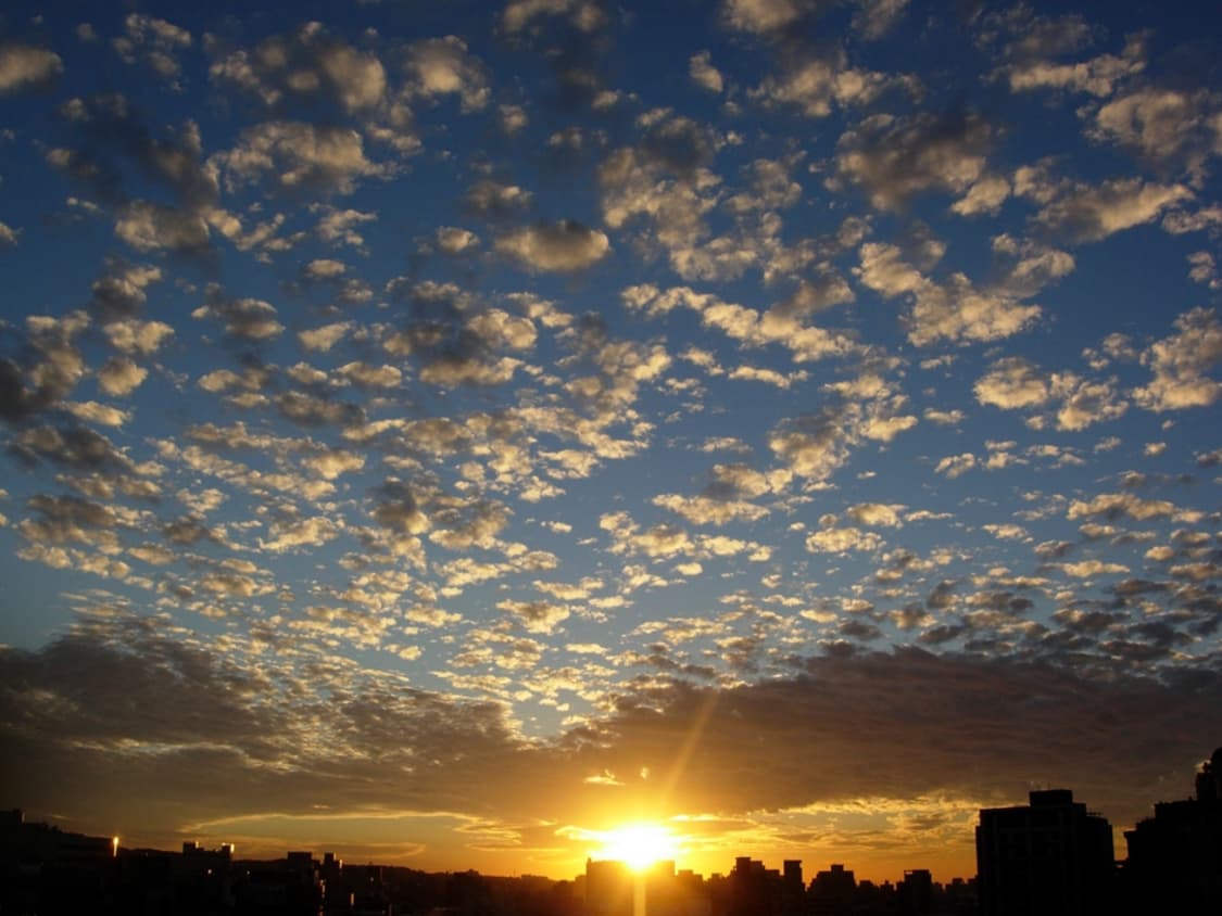 니콘 쿨픽스 5200 레트로 감성 빈티지 디카 상품이미지4