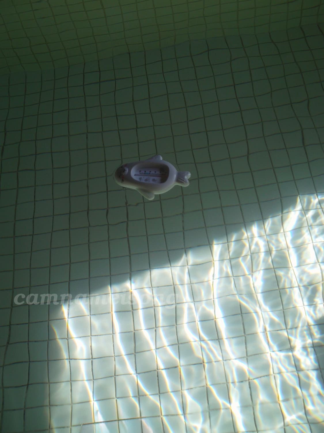 결과물 보장🌟 블로기 pm5 (최종가/작례O) 상품이미지8