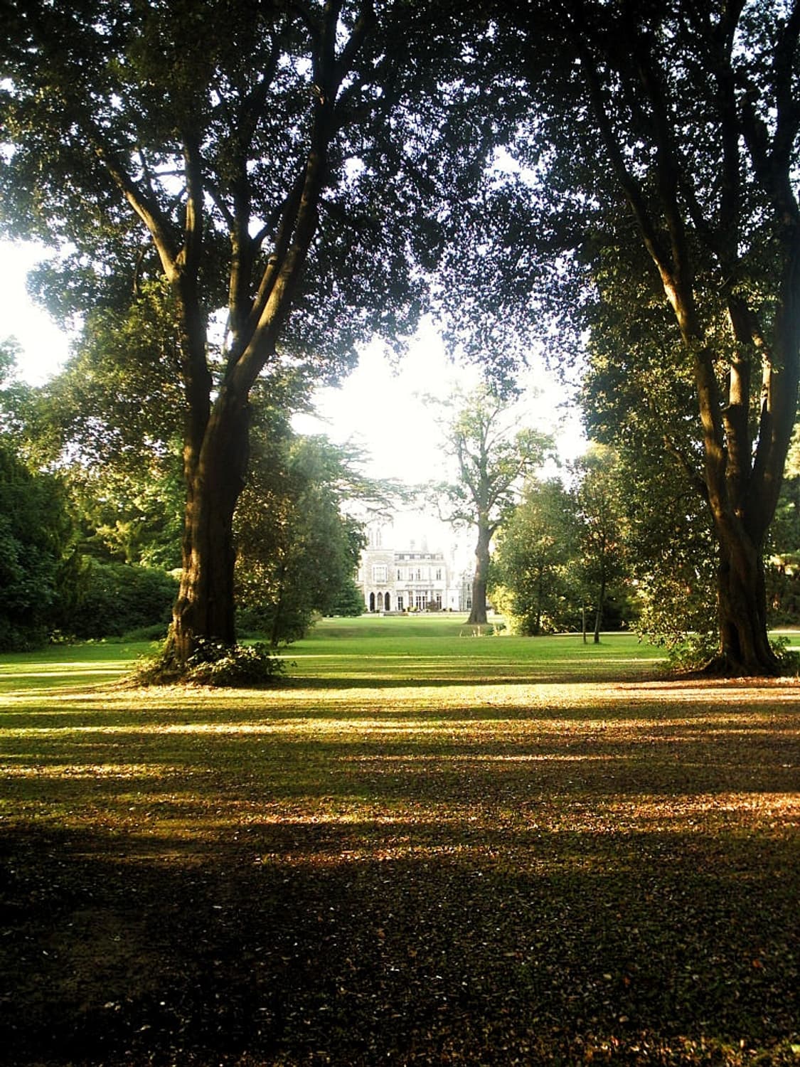 작례O 필름 감성 삼성 케녹스 사이버 400 디지털카메라 빈티지 디카 상품이미지4