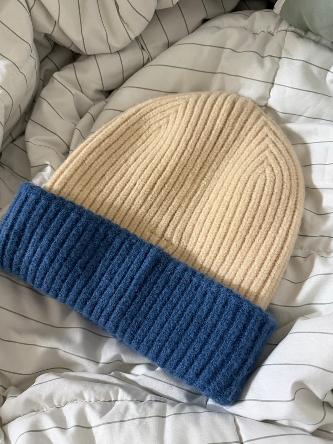 자더에러 비니 상품이미지2