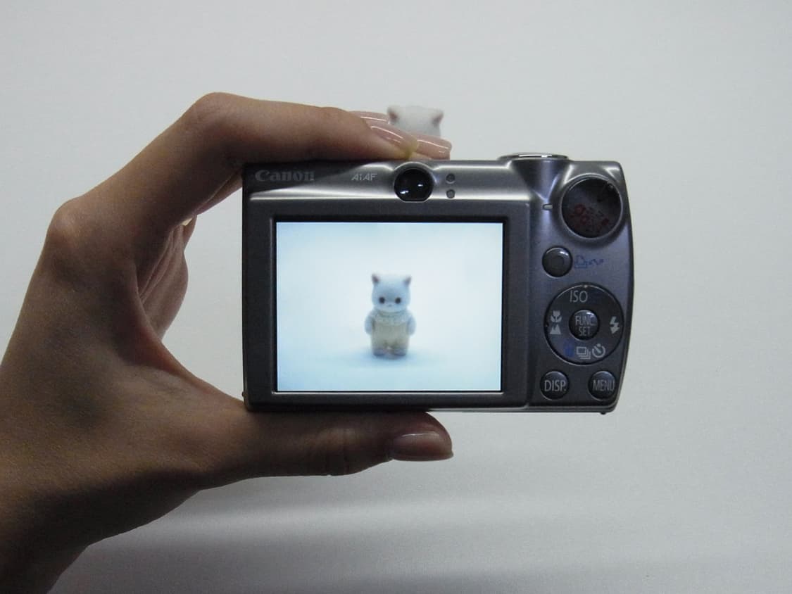 Canon IXY900IS (IXUS850IS) 상품이미지9