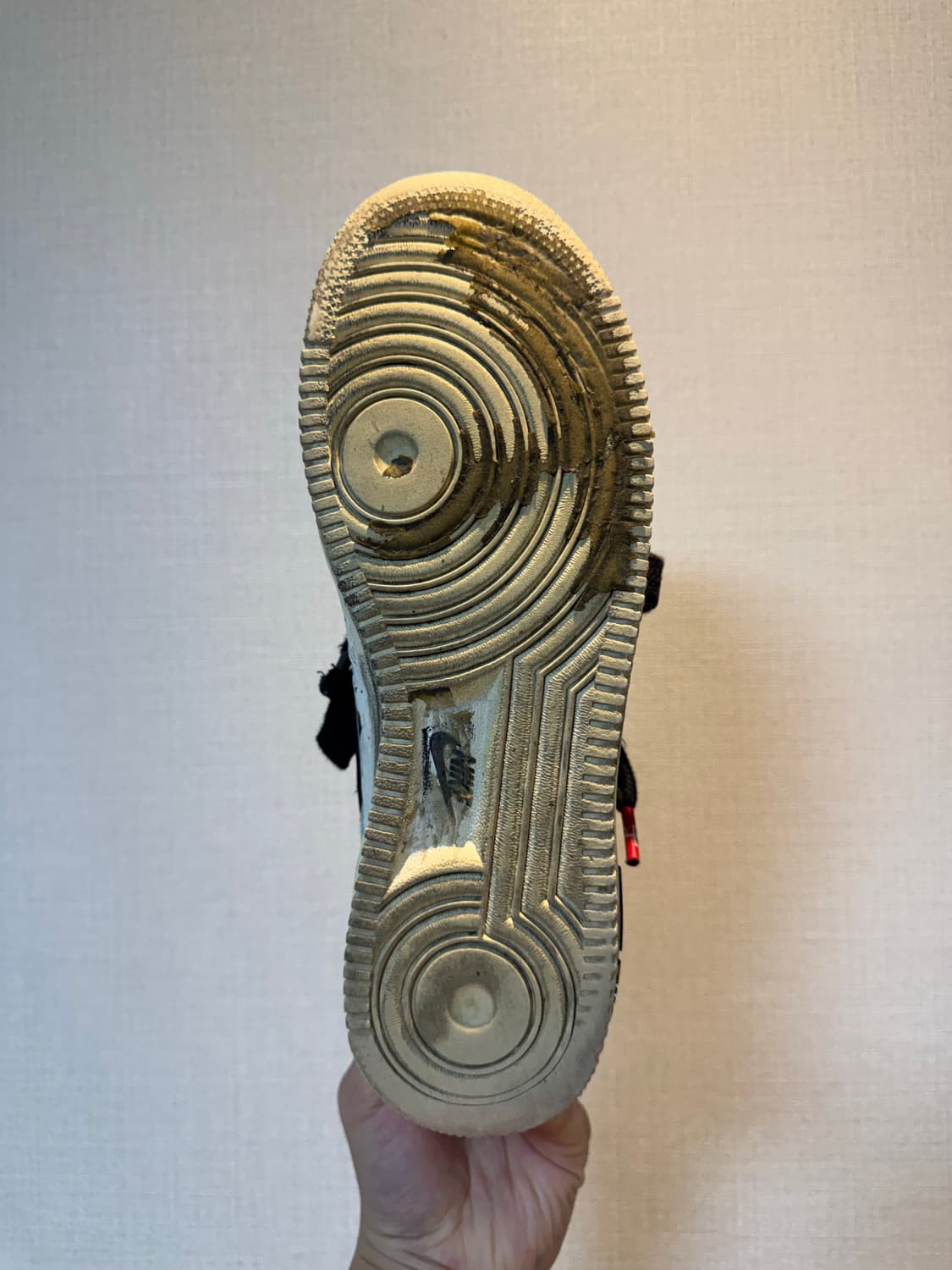 [270]피마원 2.0  상품이미지5