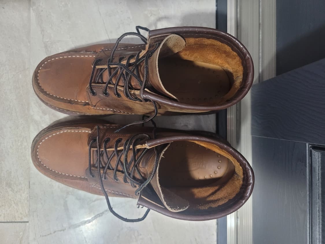 레드윙 6인치 목토 1907 270(D) 상품이미지2