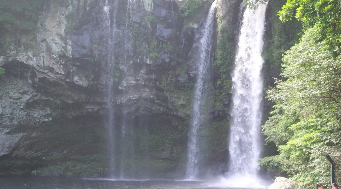 소니 사이버샷 DSC-T90 빈티지 디카 상품이미지3