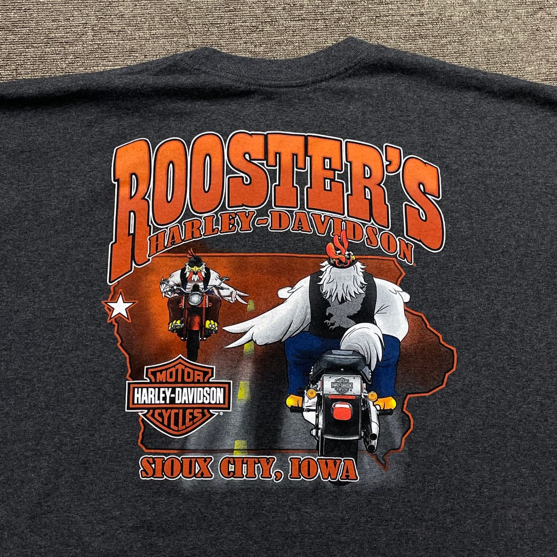 (5XL) Harley Davidson 할리 데이비슨 반팔티 상품이미지5