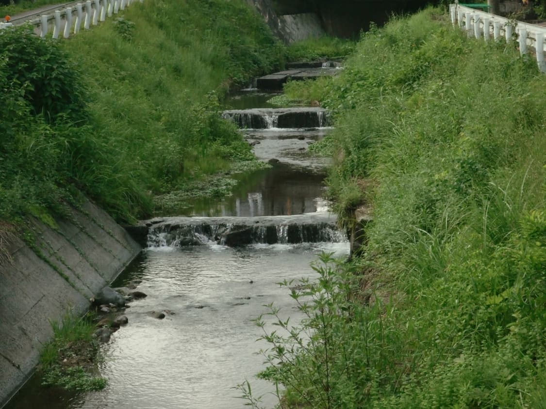 후지필름 파인픽스 z5fd (작례 o, 뉴진스 민지 디카) 상품이미지3