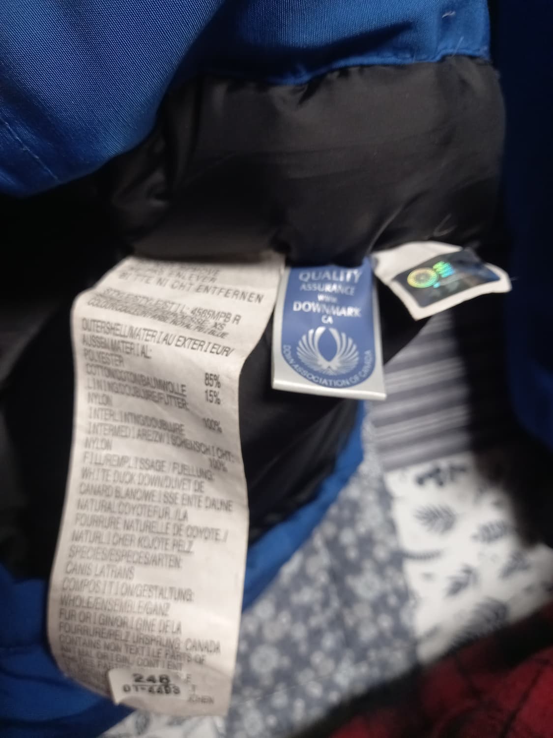 캐나다구스X디스퀘어드 PBI 패딩 xs(실용100) 상품이미지7