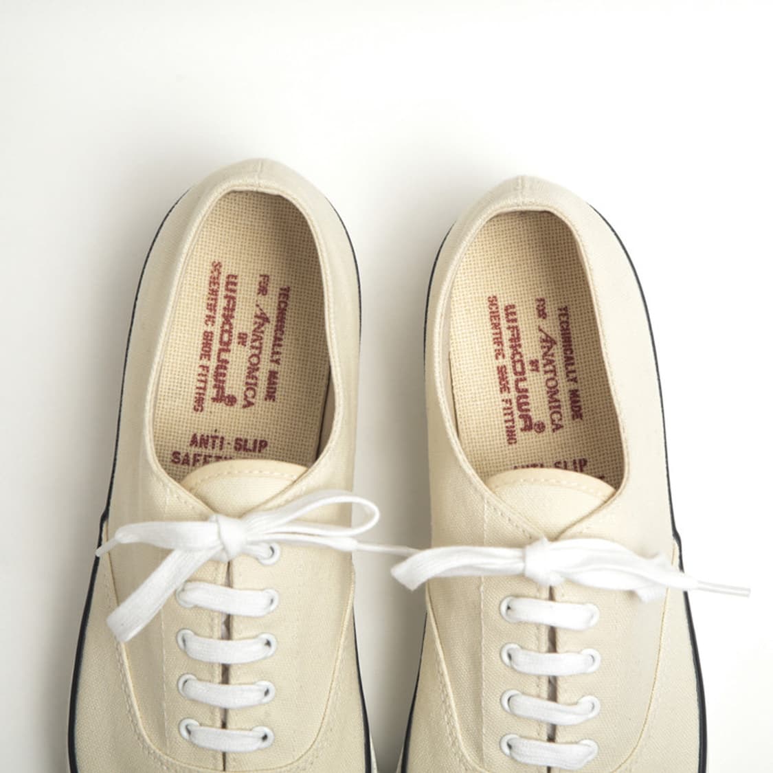 아나토미카x와쿠와 270 상품이미지6