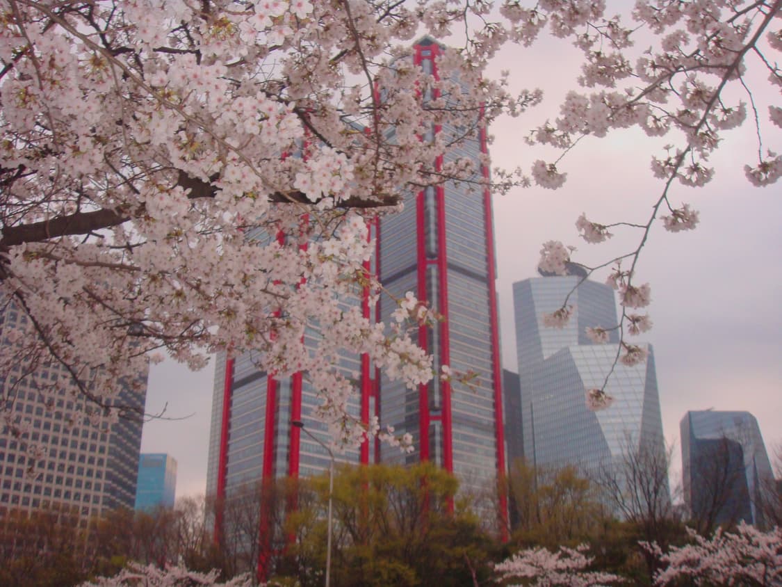 소니 사이버샷 sac-t70 sony cyber shot(작례 O) 상품이미지10