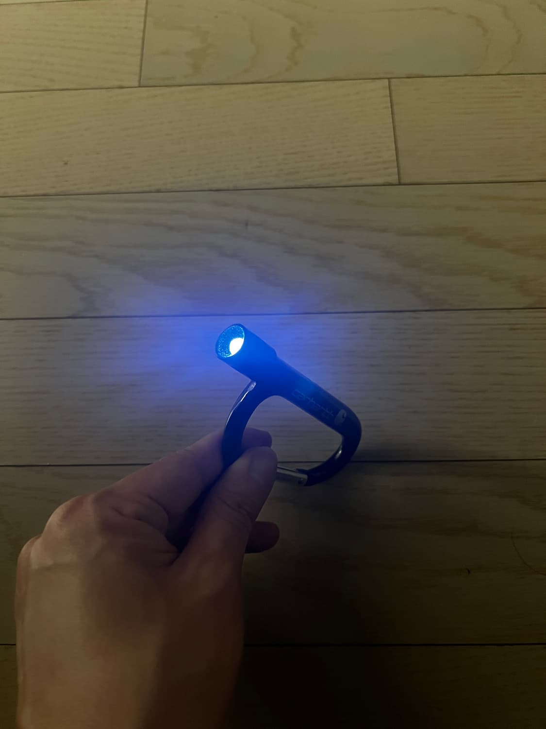 칼하트 카라비너 상품이미지7