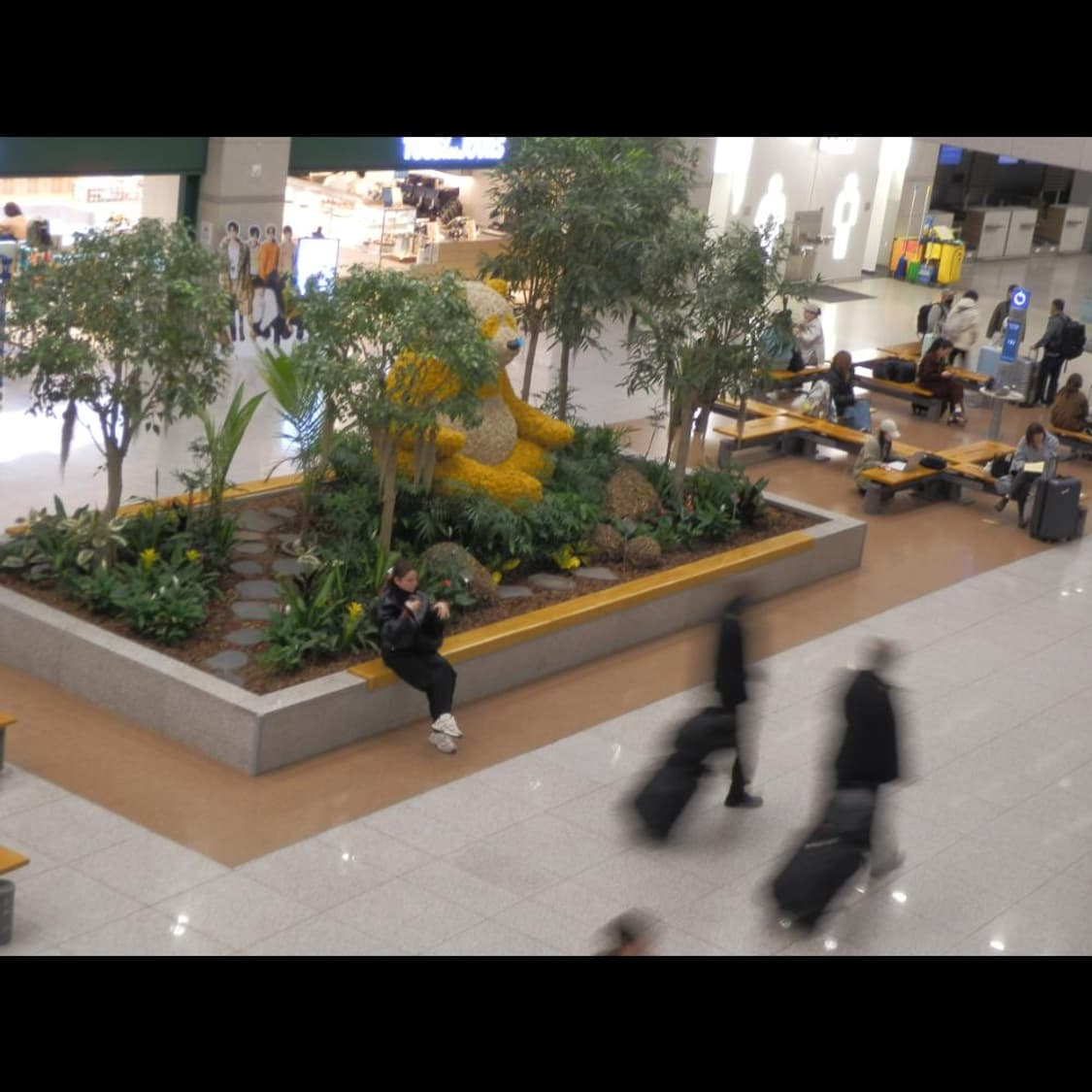 작례⭕️ 올림푸스 SZ-20 상품이미지7