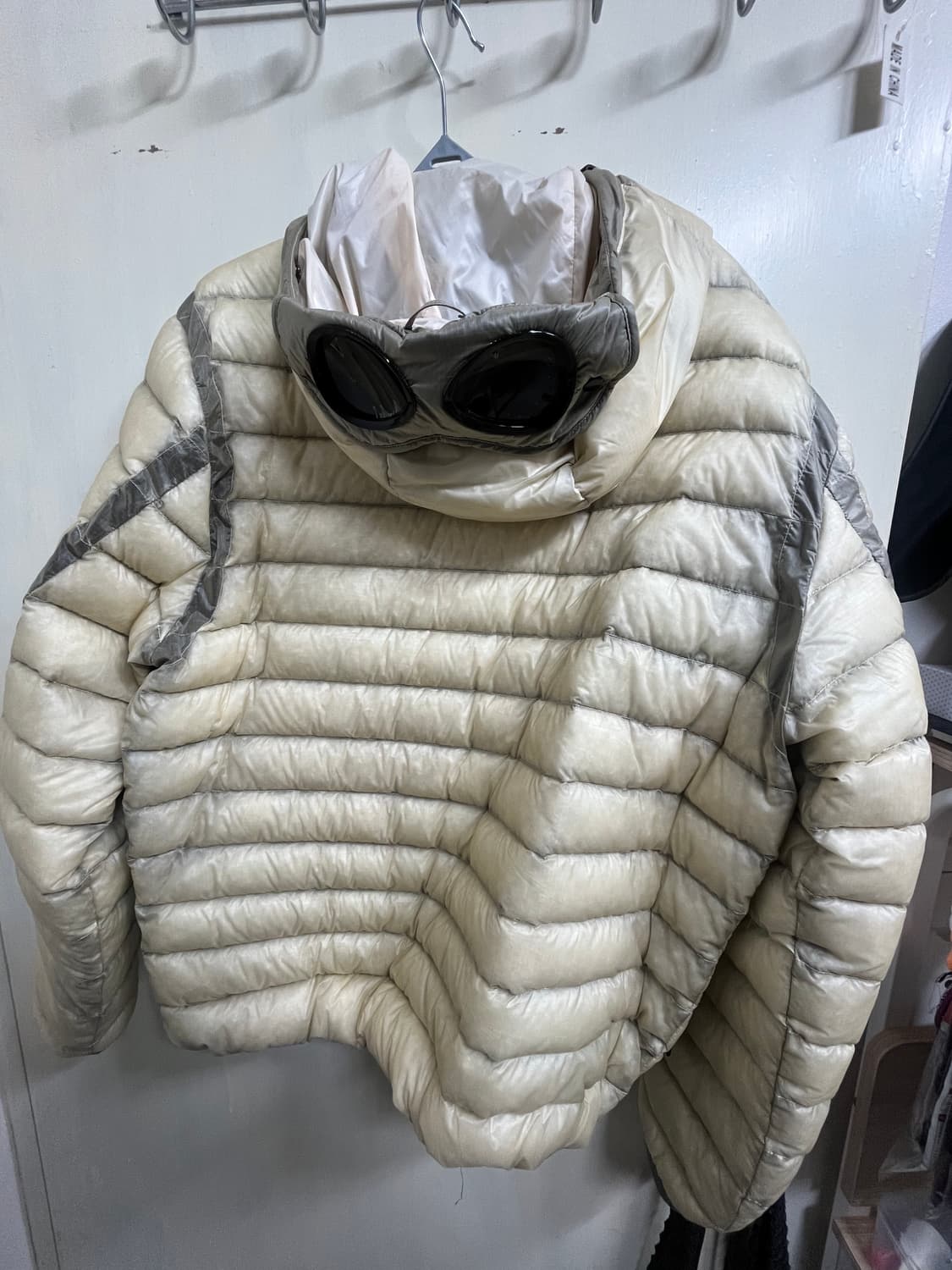 Dd쉘 고글 cp컴퍼니 피스타치오 상품이미지3