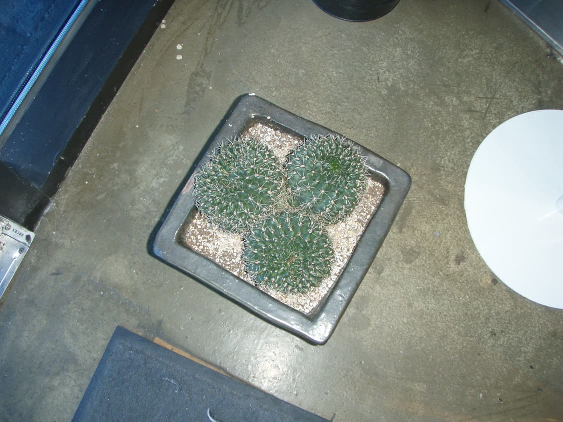 Xd카드2gb)올림푸스 뮤 725sw 빈티지디카 상품이미지10