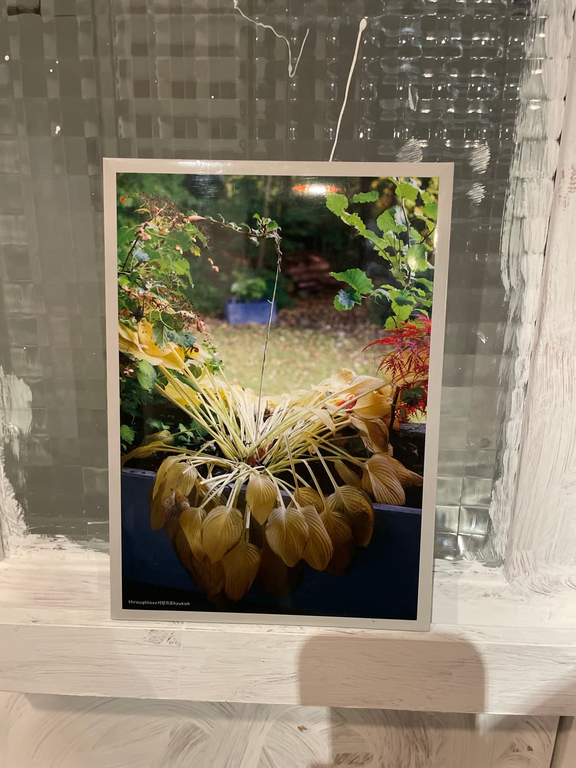 혁오 사랑으로 cd 상품이미지1