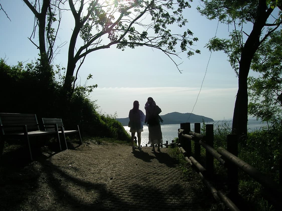 니콘쿨픽스5600 / 작례O 상품이미지7