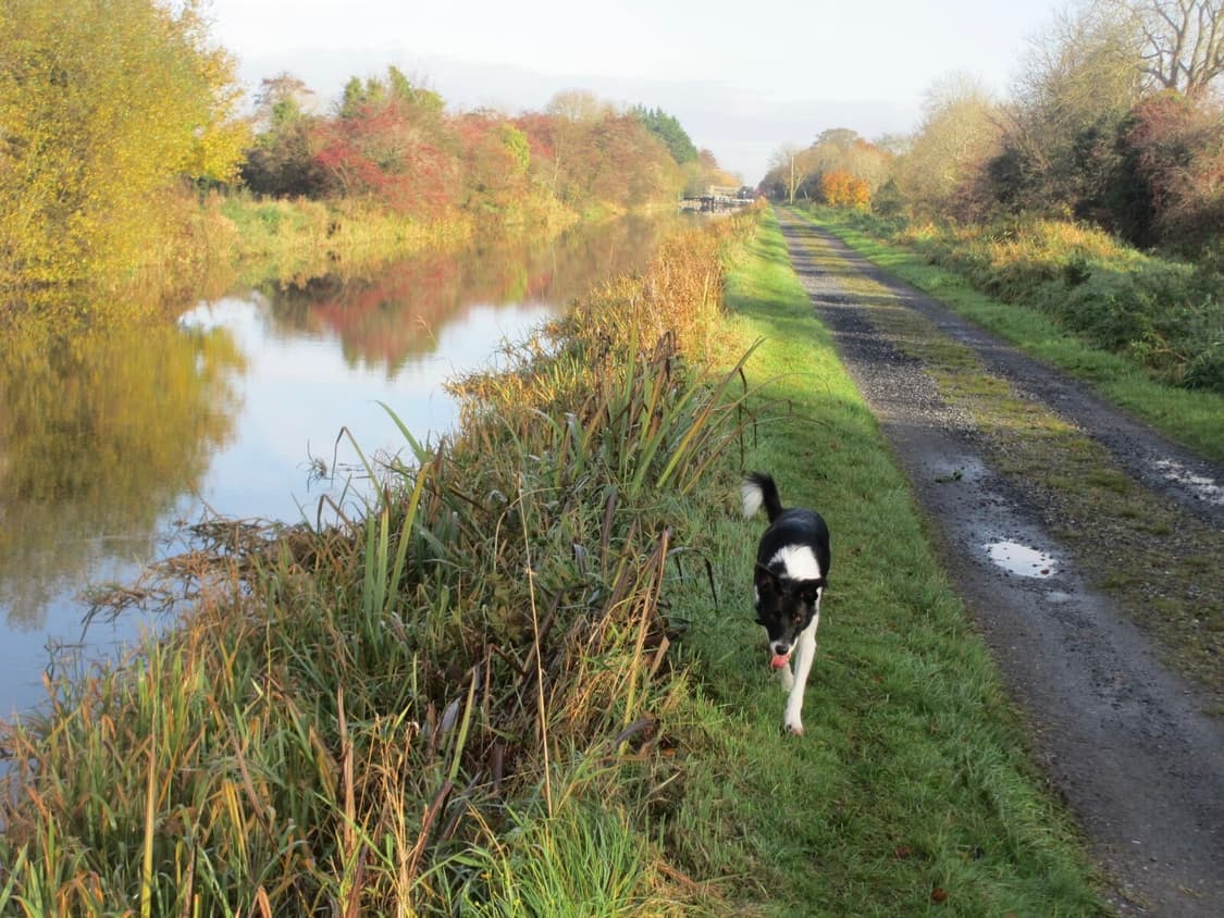 [레어&뽀용!] 캐논 IXY 600F (IXUS 230HS) 디지털카메라 상품이미지9