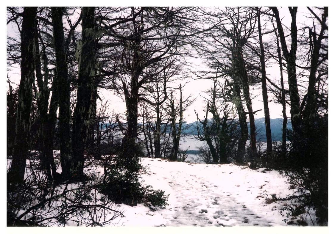 작례O 마지막 후지카 데이트 필름카메라 빈티지 필카 상품이미지5