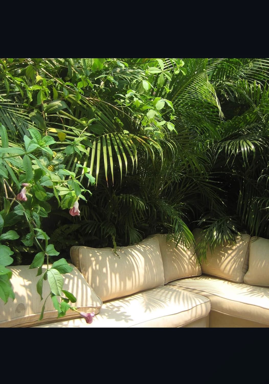 카시오 엑실림 ex z75 디지털카메라 상품이미지10