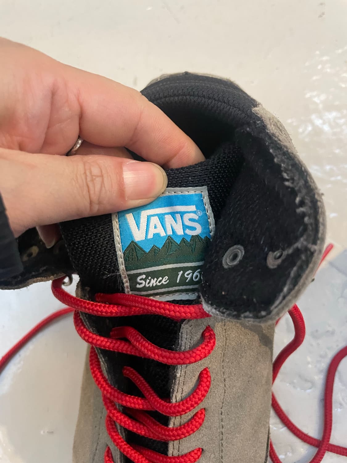 VANS 상품이미지6