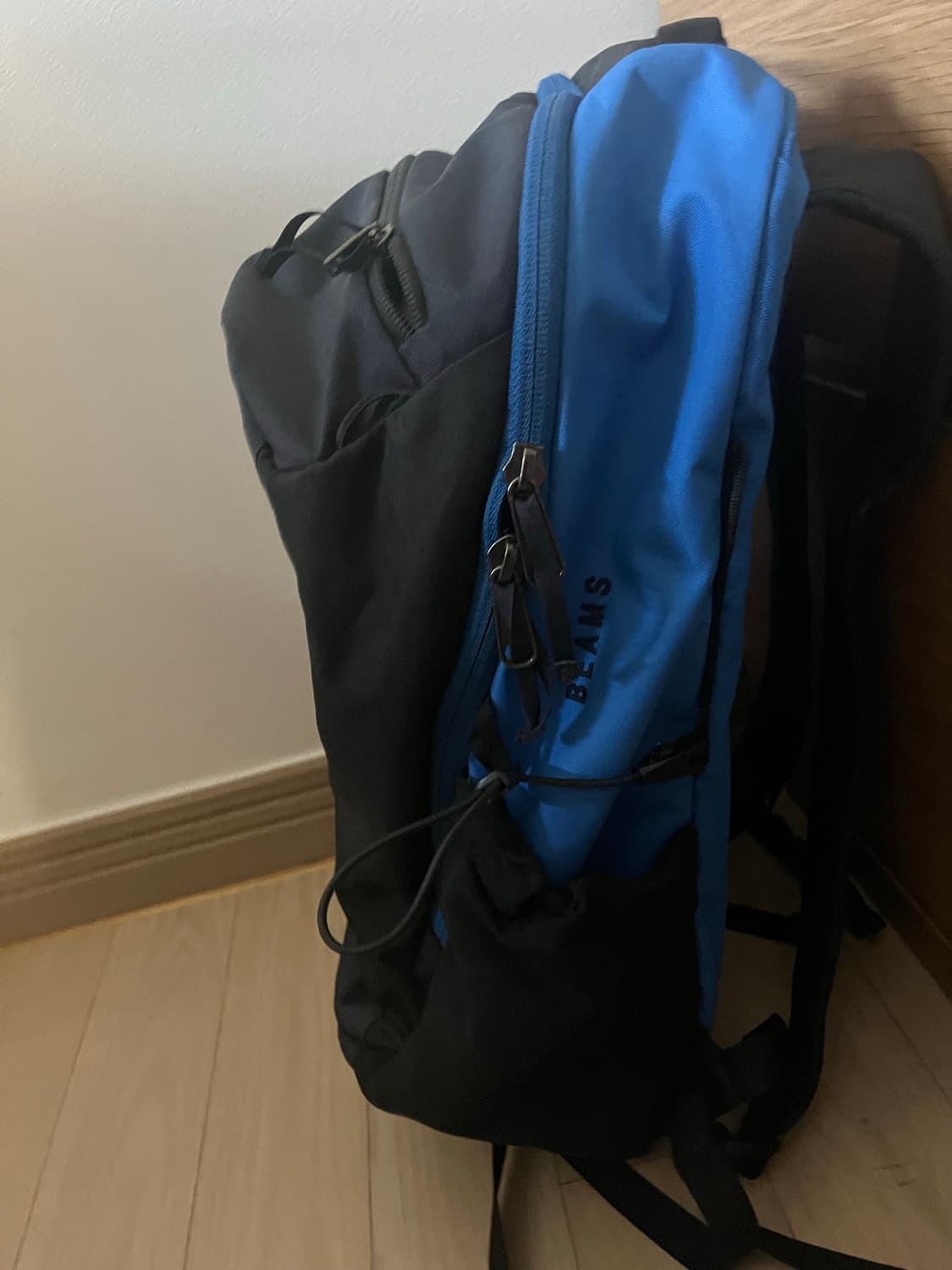 아크테릭스 빔즈 백팩 상품이미지2