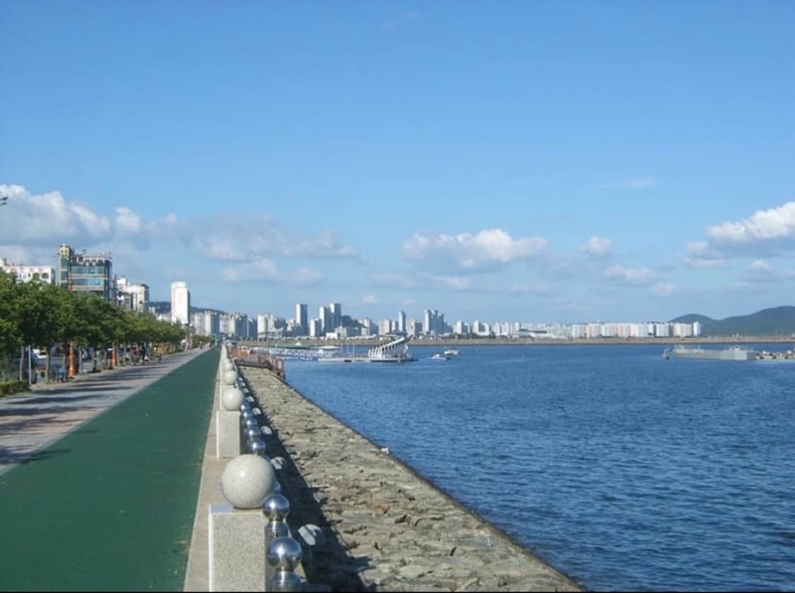 Samsung kenox a5 상품이미지8