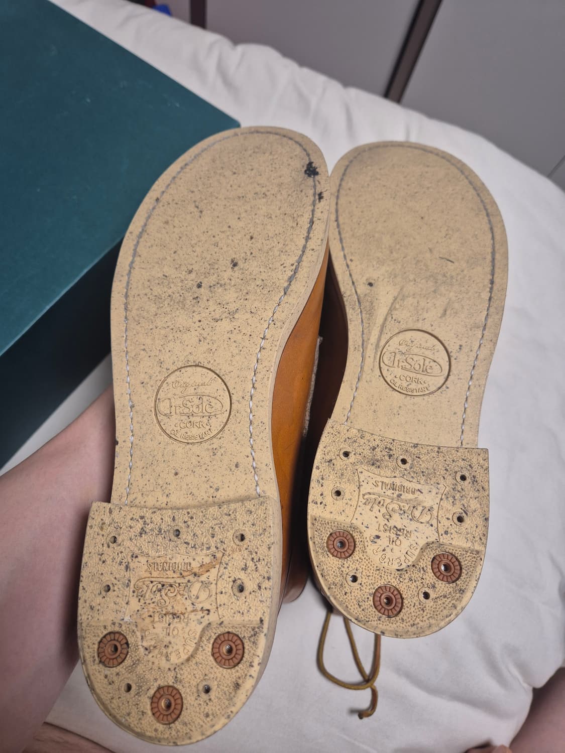 레드윙 아이리쉬세터 9877 판매합니다. 상품이미지7