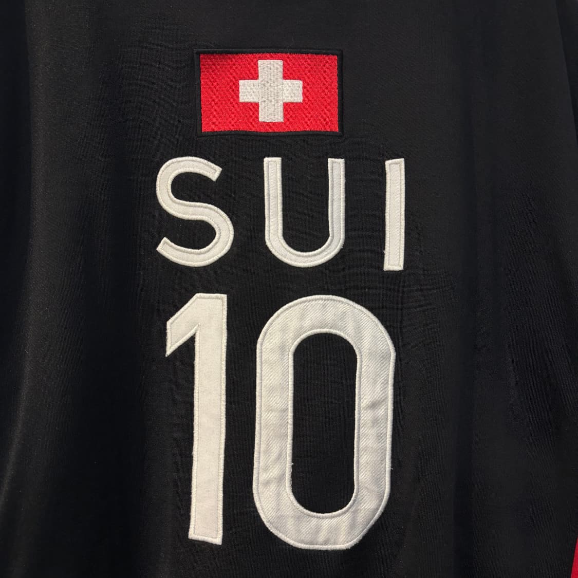 폴로 랄프 로렌 스위스 빅포니 코튼집업 상품이미지6