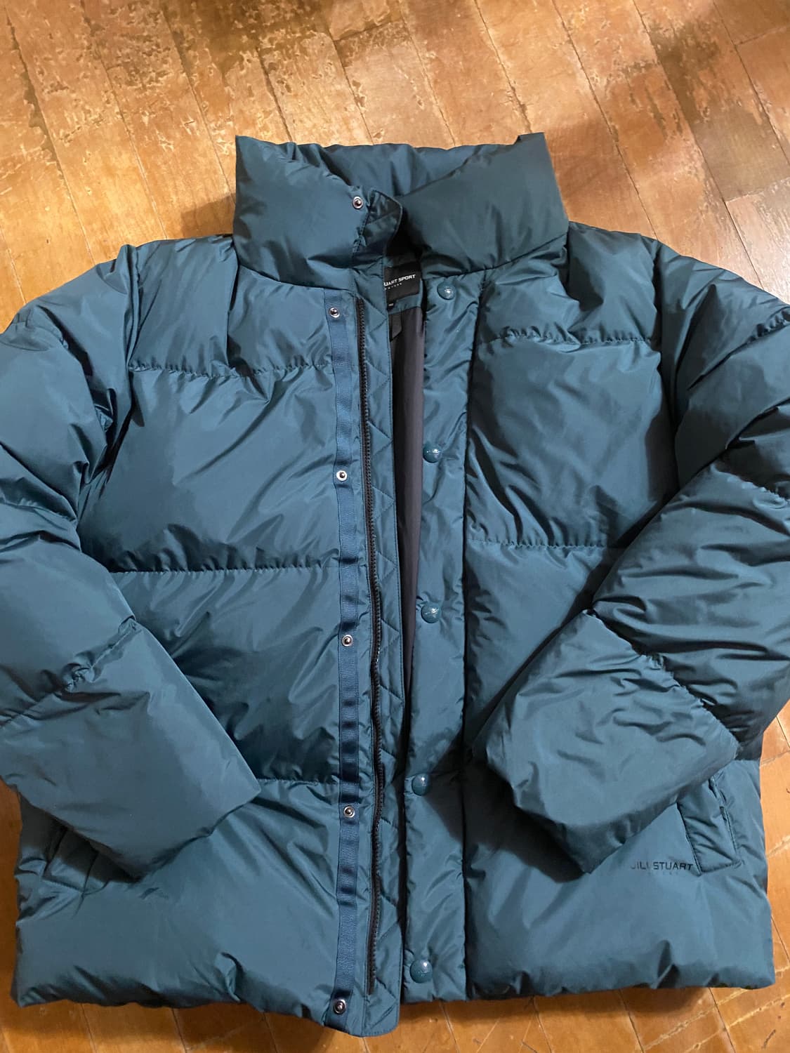 질스튜어트 남성 대장급 다크 그린 다운 100 (105추천) 상품이미지2