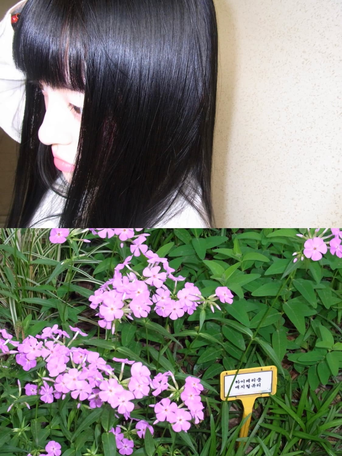 ♣️ 리코 CX2 ♣️ 빈티지 디카 상품이미지10