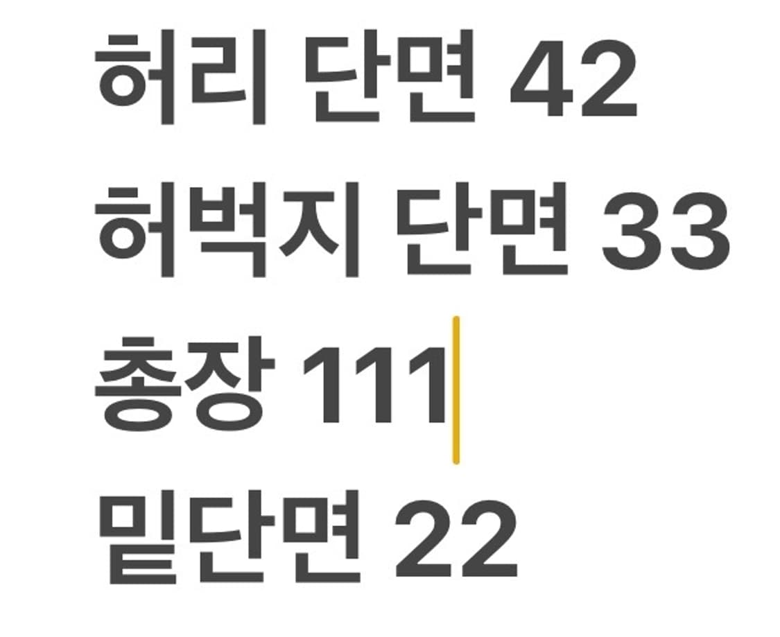 [정품/34] 파타고니아 블랙 남성 바지 b8 상품이미지7