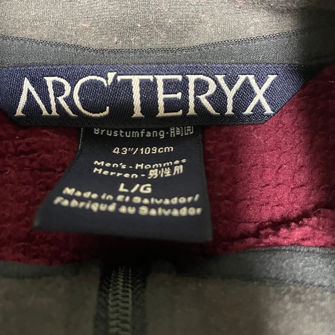 아크테릭스 00s 델타 AR 폴라텍 와플 반집업 상품이미지3