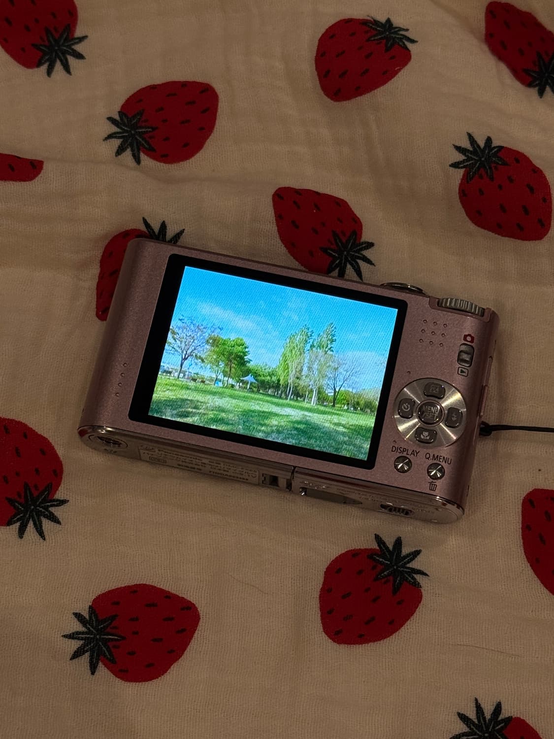 파나소닉 루믹스 Panasonic Lumix Fx66 상품이미지3